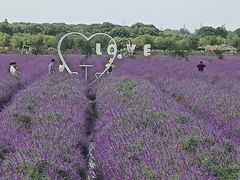 -嘉北郊野公园