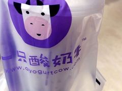 -一只酸奶牛(时代天街A馆店)