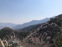-北京鹫峰国家森林公园
