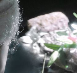 -WAVE SODA摄影工作室