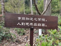 -灵隐飞来峰景区