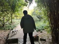 -三圣花乡旅游区