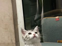 -贝来恩24H动物医院·转诊中心(稻香路店)