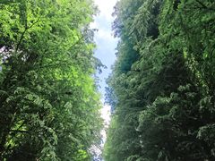 -捞渔河湿地公园