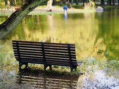 -上海共青森林公园