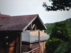 -杨梅坑