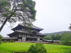 -奈良公园