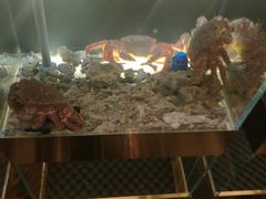 -璞御·海鲜·雪花牛肉局(宾水西道店)