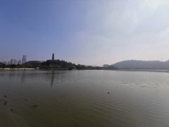 -顺峰山公园