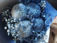 -循礼门鲜花花市(武汉循礼门店)