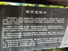 -杨家堂村