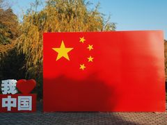 -泰州凤城河风景区-泰山公园