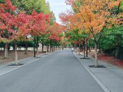 -石湖景区