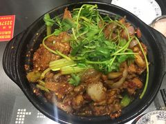 鸡鸡蛙蛙中煲-川香煲(茅台路店)