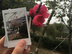 -广东工业大学(大学城校区)