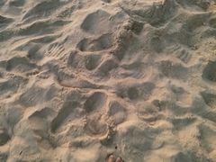 -碧桂园十里银滩