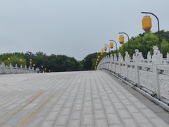 -洛阳市隋唐城遗址植物园