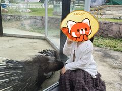 -金石滩蓝莓谷庄园