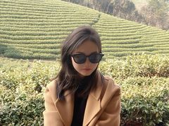 -白茶原·一片叶子