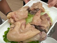 -丁老爷子苏香圆
