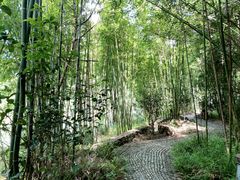 -水底山庄园温泉