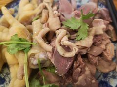 -九斤黄三黄鸡专卖店