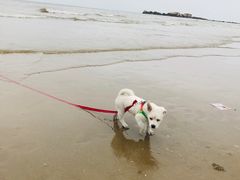 -南澳海滩