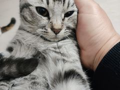 -猫岛主趣味餐厅(鼓浪屿店)