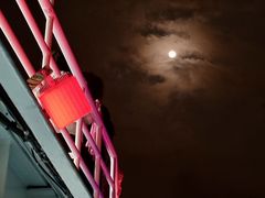 -澳门环岛游湾仔码头