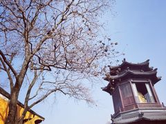 -圆通寺