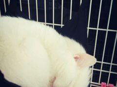 -熊猫邮局(少城店)