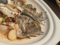-单家老院·院子里的青岛菜(沙子口店)