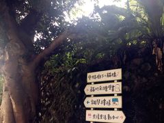 -平溪村