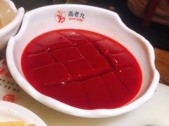 鲜鸭血-重庆高老九火锅(大世界店)