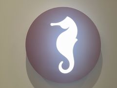 -海马体大师店(广州天汇广场IGC大师店)
