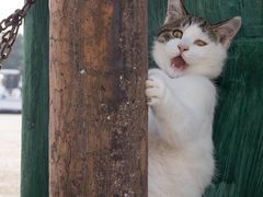 -金太太速食(北下关店)