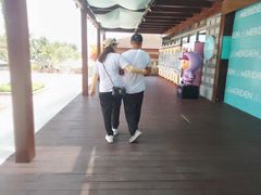 -石梅湾艾美度假酒店