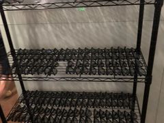 -天幕新彩云国际影城(激光巨幕店)