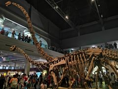 -自贡恐龙博物馆