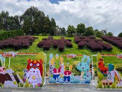 -云南野生动物园