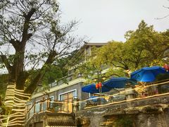 -老幺泉水鸡
