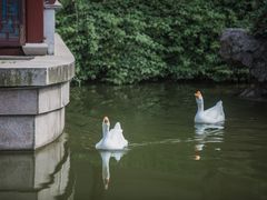 -祝家花園(伯渎港店)