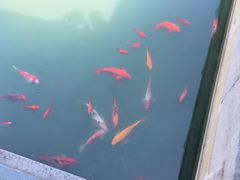 -圆通寺