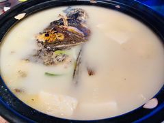 极品乾隆鱼头汤-桂满陇天书(南京德基旗舰店)