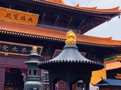 -亭林园-华藏寺