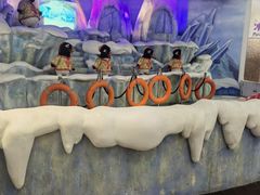 -帝企鹅自助餐厅•儿童岛•真企鹅(长隆企鹅酒店)