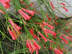 -南通洲际绿博园