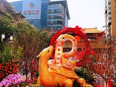 -越秀西湖花市(广州城市广场花卉店)