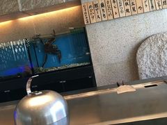 -将军日本餐厅·Shogun(厦门马哥孛罗东方大酒店)
