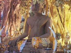 -西双版纳总佛寺
